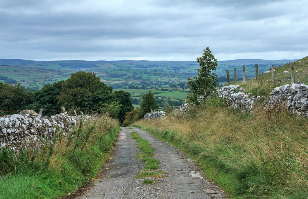 Axe Edge